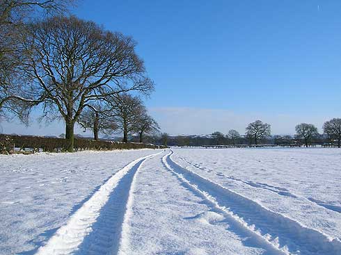 Nigel Estill's runner-up entry in the WCC photo competition entitled Tracks in the Snow