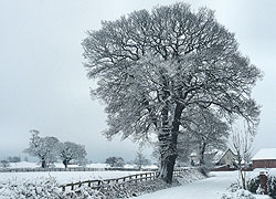 A photo of Church Lane in the snow in Woodford, Cheshire taken by Kris Hayward