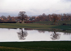 Reflections in flood water - Evelyn Frearson