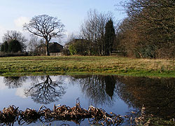 Reflections on Moor Lane - Evelyn Frearson
