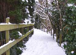 A photo of a footpath to Moor Lane in Woodford, Cheshire taken by Evelyn Frearson