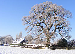 A photo of a frosty Church Lane in Woodford Cheshire - taken by Evelyn Frearson - January 2010
