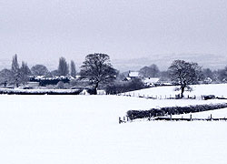 A view from Church Lane in Woodford Cheshire taken by Evelyn Frearson - January 2010