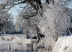 A photo of frost on Church Lane in Woodford, Cheshire taken by Kris Hayward