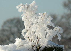 A photo of a frosted gatepost in Woodford, Cheshire taken by Kris Hayward