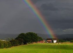 Rainbow 