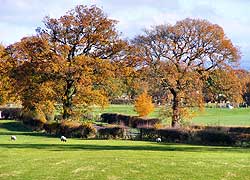 Church Lane in autumn taken by Evelyn Frearson