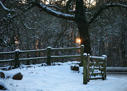 Alderley Edge photo taken by Robin Berriman