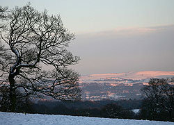 Alderley Edge photo taken by Robin Berriman
