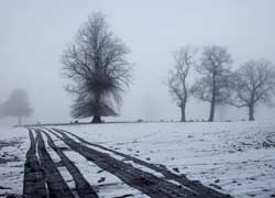 Chelford photograph taken by Robin Berriman