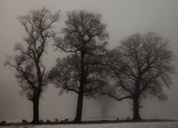 Chelford photograph taken by Robin Berriman