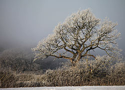Woodford Snow Scene taken by Robin Berriman