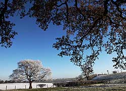 Woodford Snow Scene taken by Robin Berriman