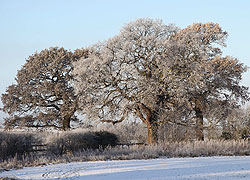 Woodford Snow Scene taken by Robin Berriman