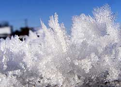 A photograph of a ice crystals taken in Blossoms Lane, Woodford Cheshire by Jenny Hayward