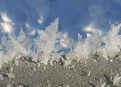 A photo of ice on a forest gate in Woodford, Cheshire taken by Kris Hayward