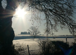 A photo of morning sun in the snow at Hilltop in Woodford Cheshire taken by Kris Hayward