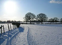 Tracks in the Snow from footpath between Old Hall Farm and Lumb Farm - Nigel Estill