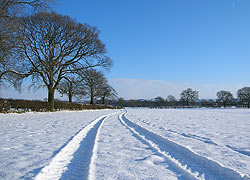 Tracks in the Snow from footpath between Old Hall Farm and Lumb Farm - Nigel Estill