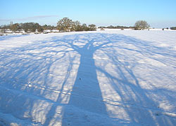 Tree Shadow from footpath between Old Hall Farm and Lumb Farm - Nigel Estill
