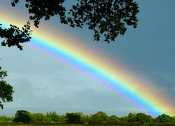 Rainbow down to BAe