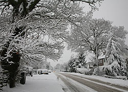 Woodford in the snow - Robin Berriman