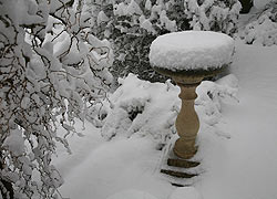 Woodford in the snow - Robin Berriman