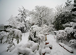 Woodford in the snow - Robin Berriman