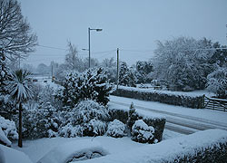 Woodford in the snow - Robin Berriman