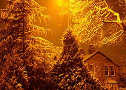 Woodford in the snow - Robin Berriman