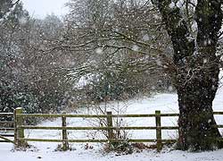 Woodford in the snow - Robin Berriman