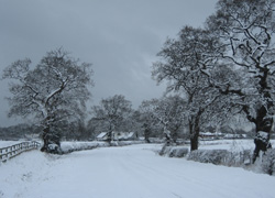 A photo of Church Lane in Woodford, Cheshire in the snow taken by Ruth Jones