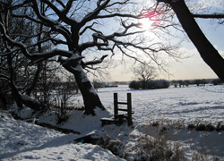 A view of Woodford, Cheshire in the snow taken by Helen Buszard