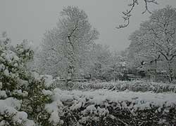 A photo of a snow scene in Woodford, Cheshire