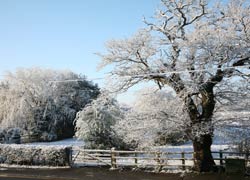 A Woodford Cheshire Snow Scene